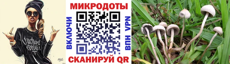 сколько стоит  Углич  блэк спрут зеркало  Псилоцибиновые грибы прущие грибы 